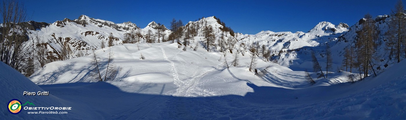 68 Larici e cime svettanti della conca del Calvi.jpg